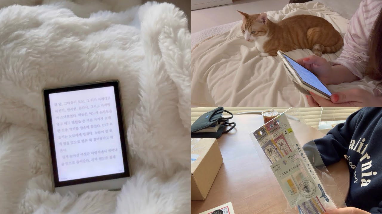  독서브이로그 | 독서취향발견 | 오컬트&호러 | 법정소설 | 어둠의숲 | 4의 재판