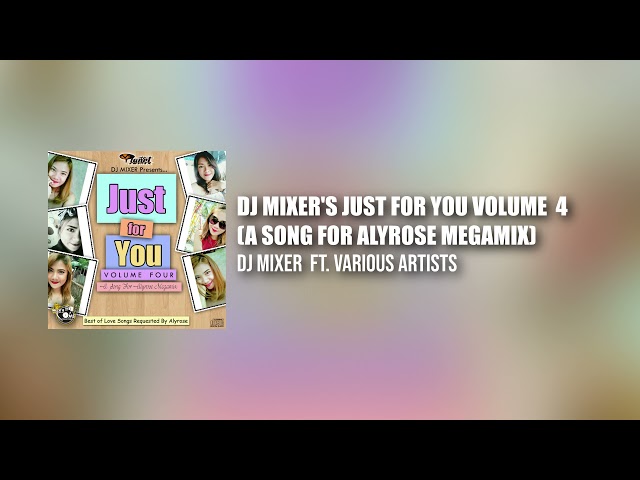 Dj Mixer's Just For You Volume 4 (A Song For Alyrose Megamix) class=