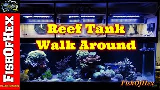125 Gallon Reef Tank Walk Around | Subscriber Request