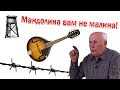 Почему Алекс Шевченко не продает рассказики своего папы?!!!