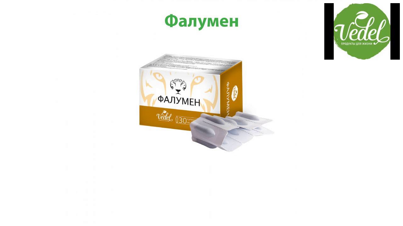 Ведель вход в личный. Продукция Ведель. Vedel продукты. Vedel продукты для жизни. Ведель каталог продукции.