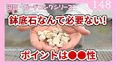 プランター栽培 鉢底石いらない 栽培の質を上げて手間を減らす Youtube プランター栽培 鉢底石いらない 栽培の質を上げて手間を減らす Youtube