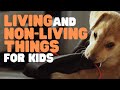 Living and nonliving things for kids  learn why some things are alive and others are not