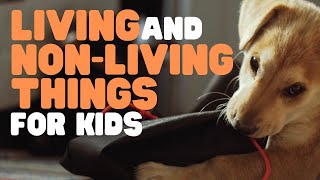 Living And Non-Living Things For Kids Learn Why Some Things Are Alive And Others Are Not