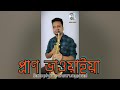 Pran bhawaiya     rajbanshi instrumental song cover by gourflute