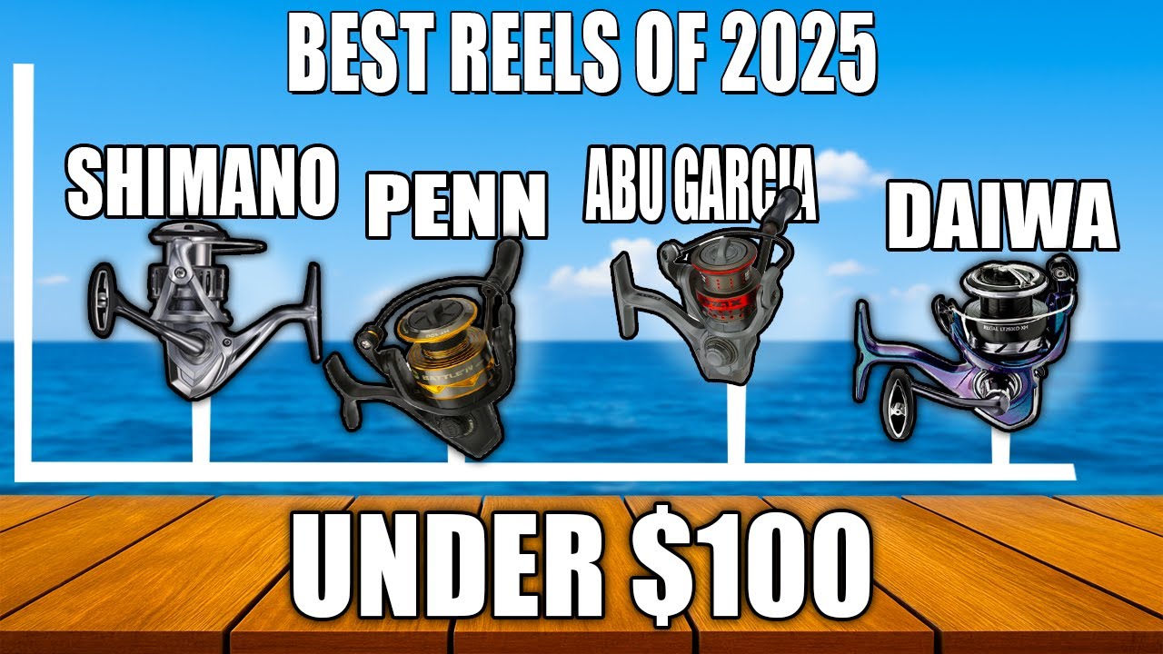 best saltwater reels on 100 budget TOP 5 Best Spinning Reels Under $100 (2026)