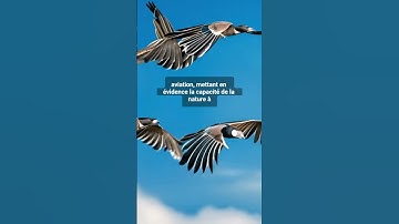 Natures ingenious gifts_ unleashing potential