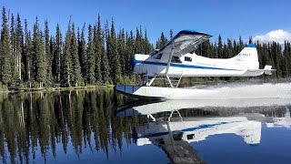 FLIGHTSEEING & FISHING IN BEAUTIFUL BRITISH COLUMBIA 🇨🇦