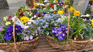 Dortmundun cumartesi pazarı, gezelim görelim#almanya#world#garden#flowers