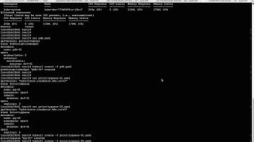 a demo of pod priority, using kube-arbitrator/kube-batchd