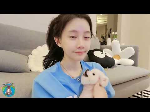 馮提莫cover：寂寞在唱歌﹙阿桑﹚
