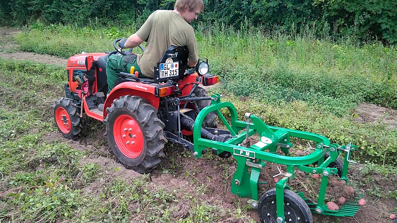 Wir pflanzen Kartoffeln mit der No-Dig-Heumethode 😍🌱