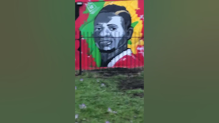 Liverpool FC wall mural Origi Salah Nunez
