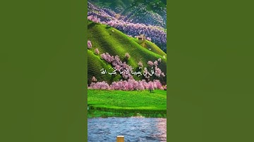 واتس اب قران كريم القارئ رعد الكردي من سورة (التوبة)