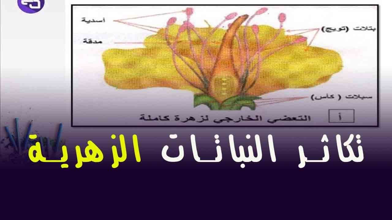 الدرس 29:علوم طبيعية اولى متوسط التكاثر عند النباتات الزهرية