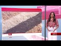 فنانة أمريكية بارعة في إنشاء لوحات متقنة من الأرز وفنان فلبيني يبدع في رسم الفن الواقعي 