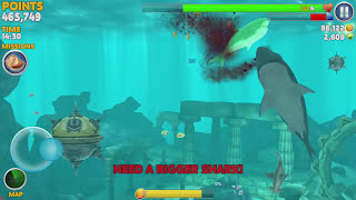 Hungry Shark Evolution: Great White Shark Gameplay & High Score Strategy screenshot 4