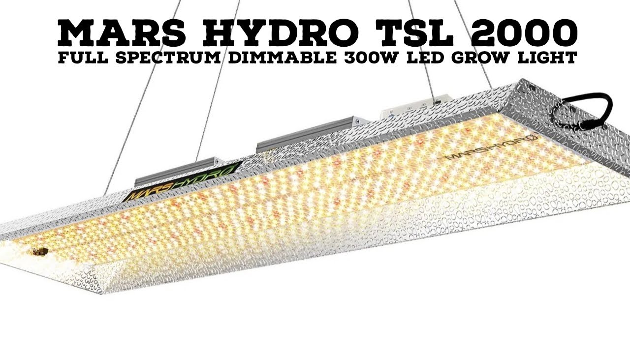 Mars Hydro 2000 Spectrum Dimmable 300W LED Grow Light Review Coverage - YouTube