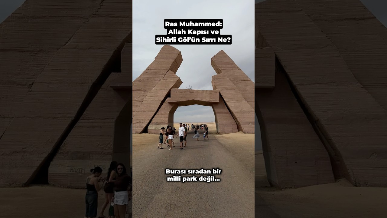 Kızıldeniz’in En Etkileyici Rotası | Ras Muhammed - Mısır Ras Mohammed Turunda Neler Var?