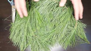 Make Pine Essential Oil by LETIME LT3000 Distiller Steam Distillation Pine Needles Rules to Improve
