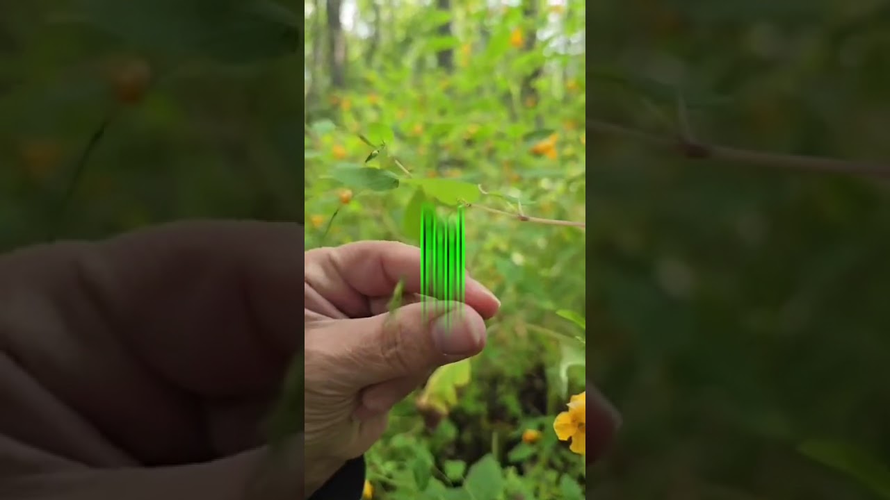 Watch nature's little surprises in action!