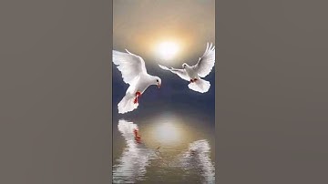سورة الفلق ❤ أكتب شيء تؤجر عليه 🌹
