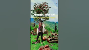 I bet you can’t find 8 girls. Comment if you found them all! #blackpink #kpop #jump #blink #dance