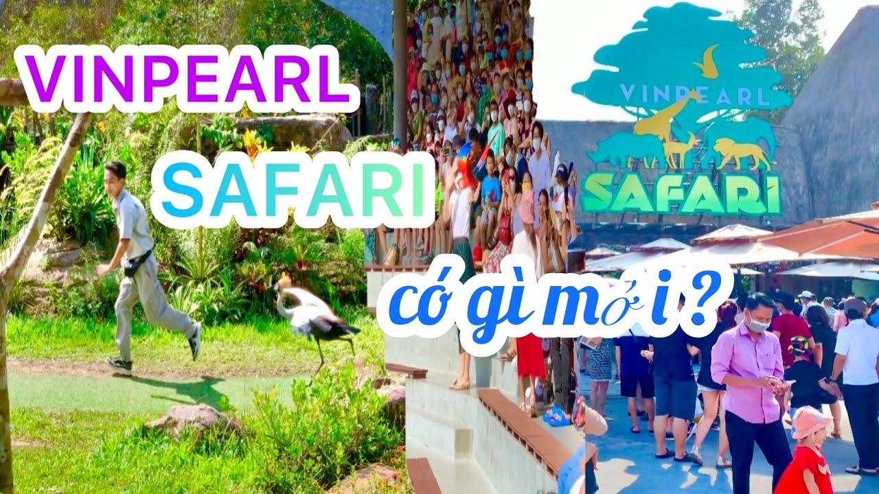 safari vinpearl phú quốc Update New Nmttv - DU LỊCH PHÚ QUỐC - VINPEARL SAFARI - Tham Quan, Trải Nghiệm, Chia Sẽ Đầy Đủ Thú Vị