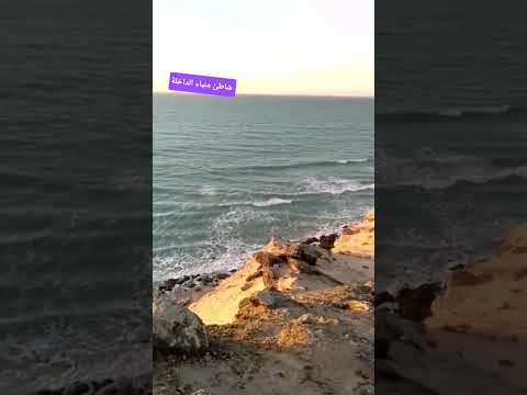 شاطئ منياء الداخلة Flamenco اكسبلور Allah دويتو اغنية Army Bachata ترند المغرب تيك توك 