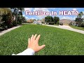Can your fertilize the lawn in summer and not burn it