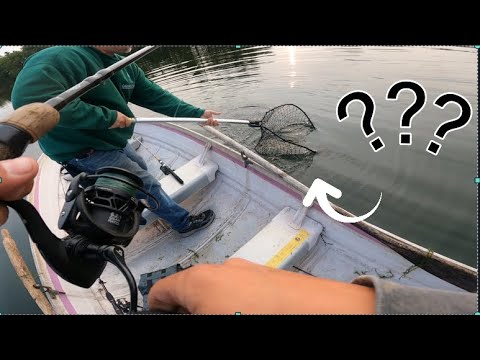 Suprise Catch While Bass Fishing!