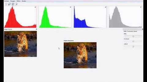 Image Processing "Borders and Paths".
