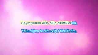 Karaoke Şiir - Sevgi Duvarı   Can Yücel