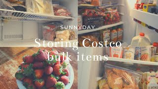 How did I store Costco bulk items on my single door refrigerator top freezer