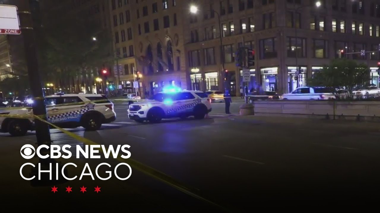 Man, 66, hit by car while chasing runaway dog - YouTube