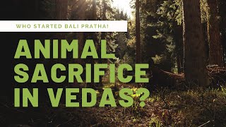 Bali Pratha in Vedas | Non Vegetarian Food in Hinduism | Is Cooking, Delivering Meat a Sin