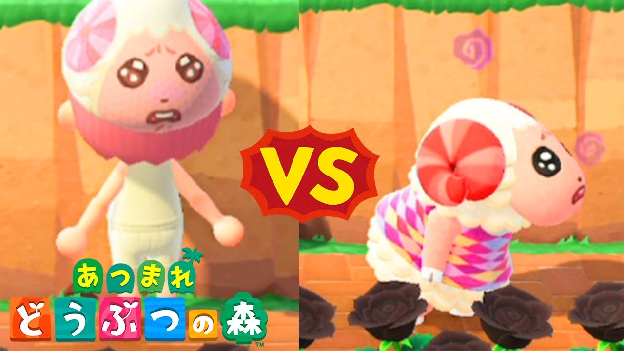 あつ森 ちゃちゃまるかわいいちゃちゃまるかわいいちゃちゃまるかわいい あつまれどうぶつの森 Youtube