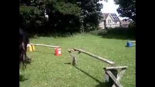 me jumping ruby 2ft3 xx