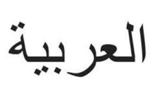 Der Kasus Fall Im Arabischen