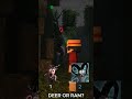 Deer orRam? #99nightintheforest #errorstreamgaming