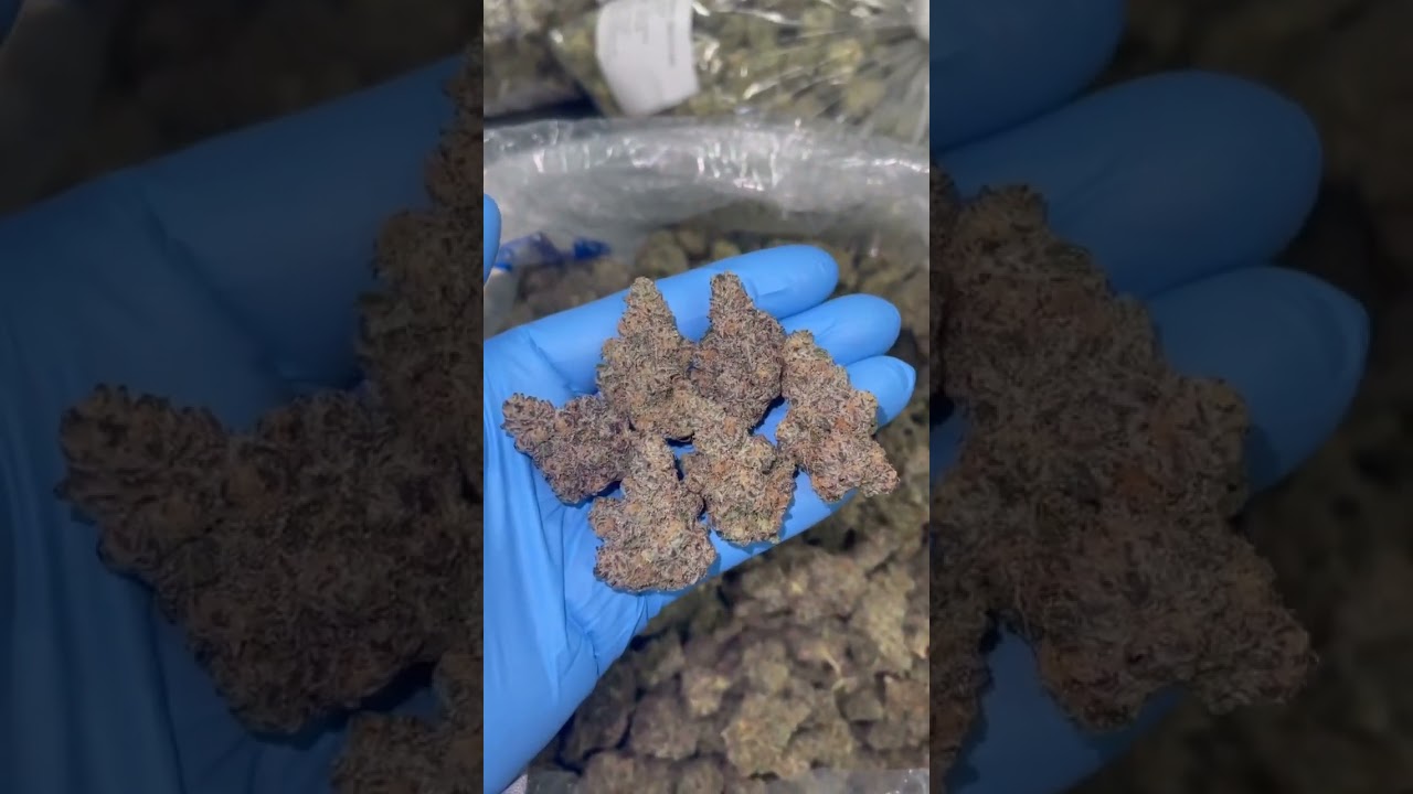 🔥 🔥 PINK CERTZ 🔥 🔥QP......$450HP......$800LB.......$1250Pink