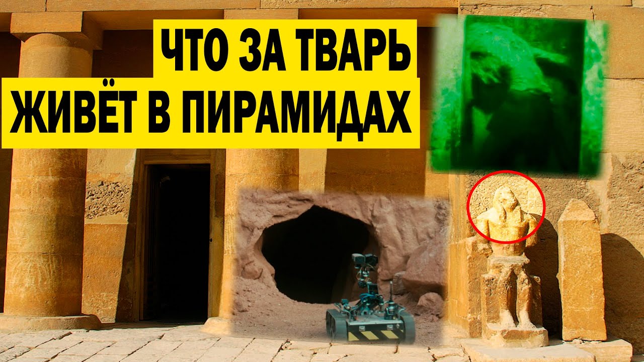 Раф черный пенза вышел