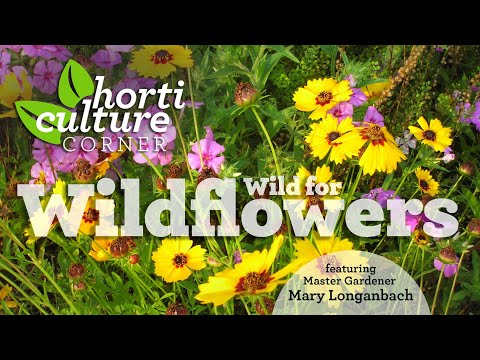 Video: Corner of Wildlife: Yuzhny Nursery. Een verscheidenheid aan bomen en bloemen kweken en verkopen