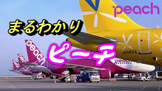 ぶっとんだ企画を打ち出す とんがったLCC航空会社 ピーチ【飛行機 乗り方 ピーチアビエーション 格安航空会社】