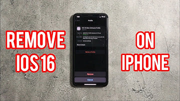 How To Remove iOS 16 Beta!