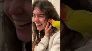 Kuziku Serayı Annesi Sandı