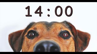 14 Minute Timer for School and Homework  Dog Bark Alarm Sound