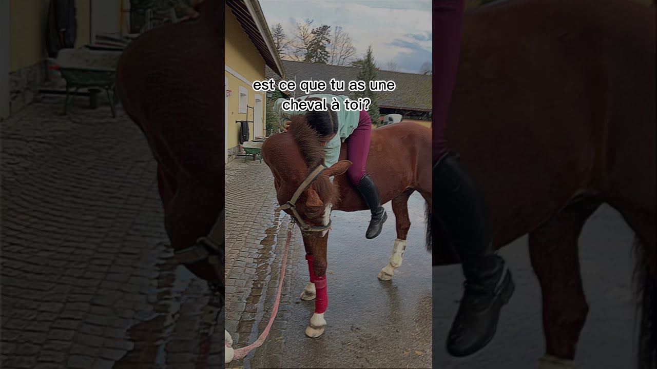 Si je parlais à la moi du passé hand #equestrian #horse #poney # ...