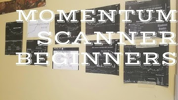 How To Set Up Stock Scanner (MOMENTUM)