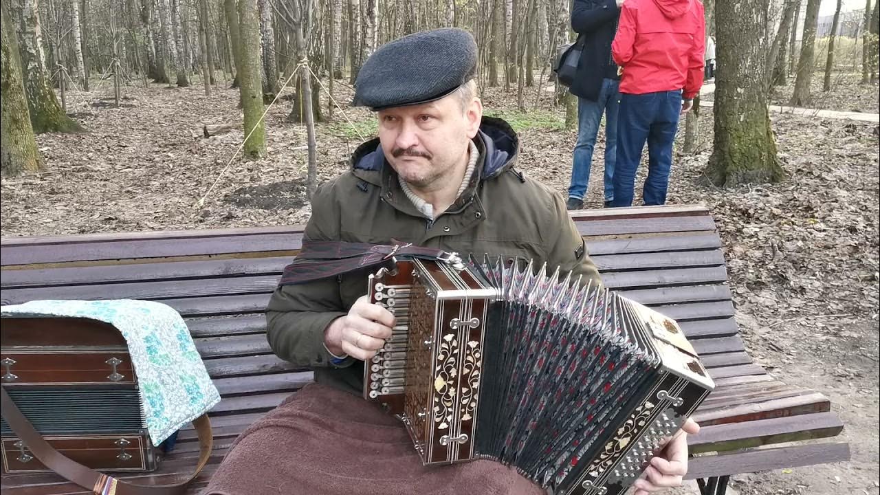 Нижегородские гармони фото